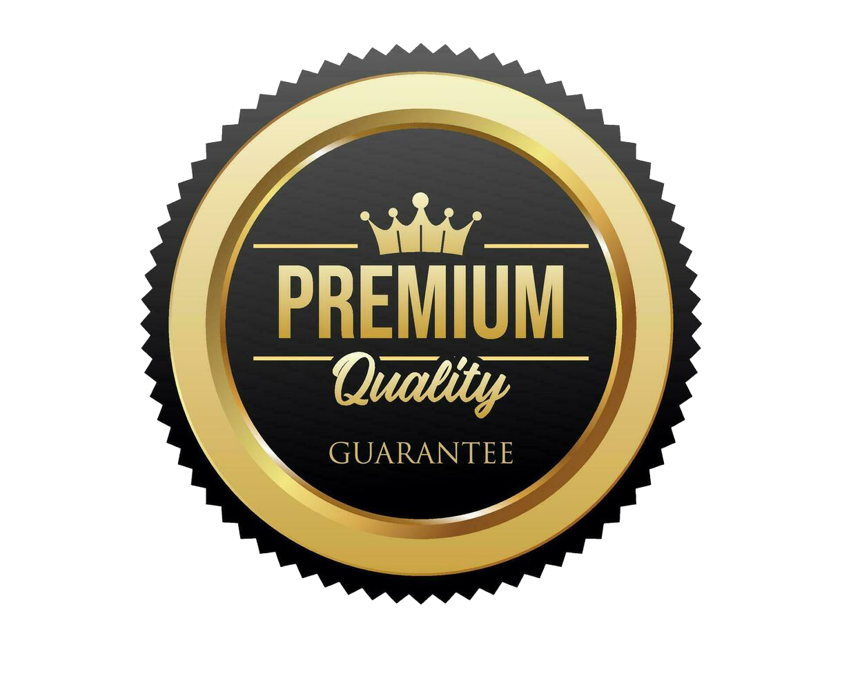 premium quality golden design badge collection vector